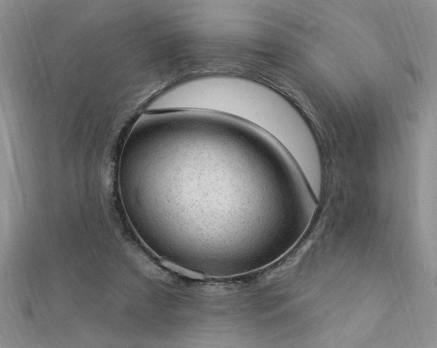 X0000112780305200908201534