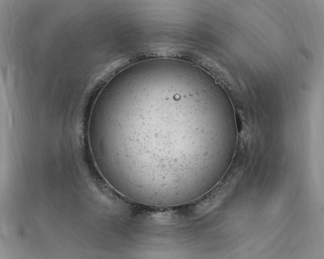 X0000112780306200908201534