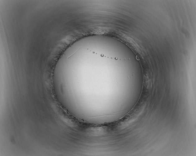 X0000112780307200908201534