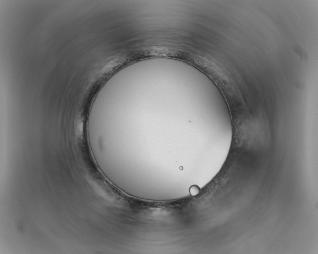 X0000112780310200908201534