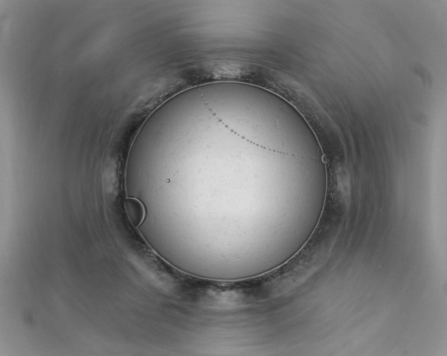 X0000112780311200908201534