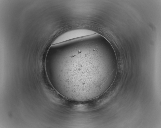 X0000112780312200908201534