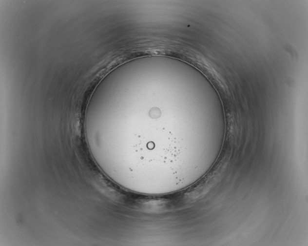 X0000112780313200908201534