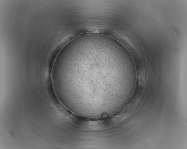 X0000112780314200908201534