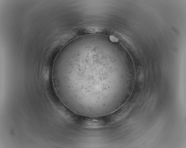 X0000112780315200908201534