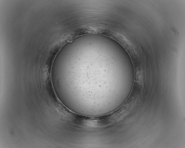 X0000112780318200908201534