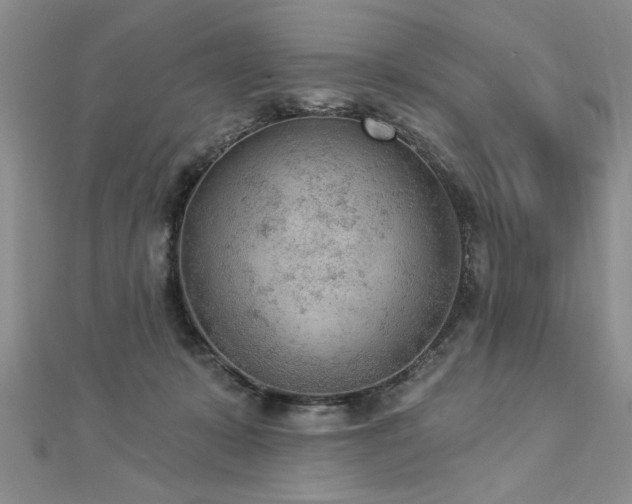 X0000112780319200908201534