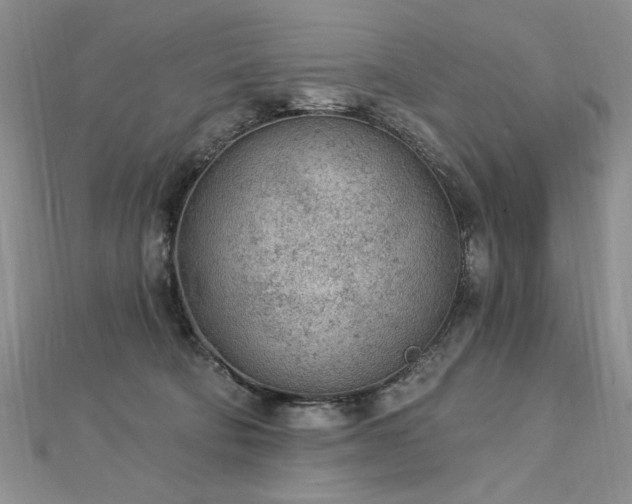 X0000112780322200908201534