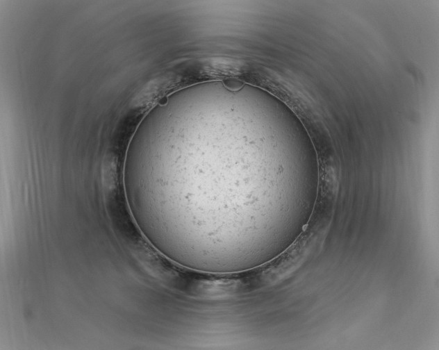 X0000112780323200908201534