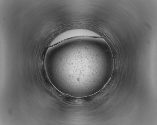 X0000112780324200908201534