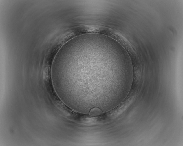 X0000112780325200908201534