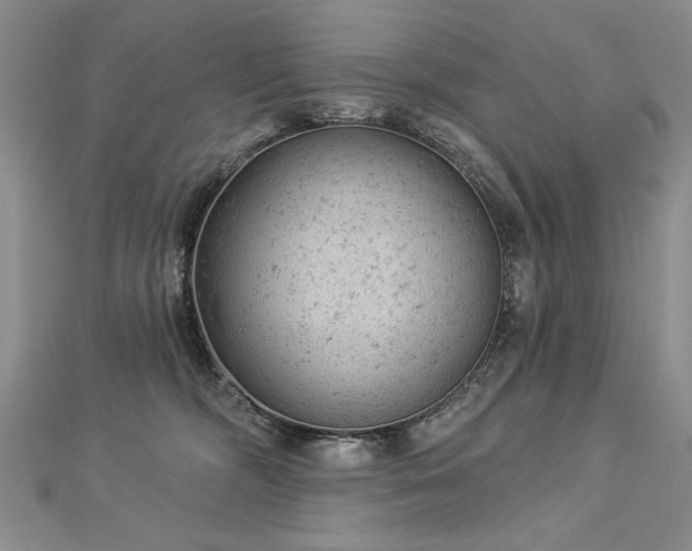 X0000112780326200908201534