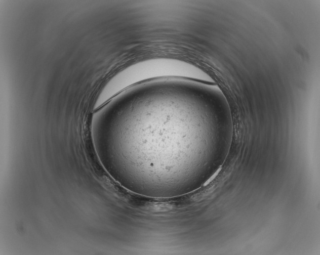 X0000112780327200908201534