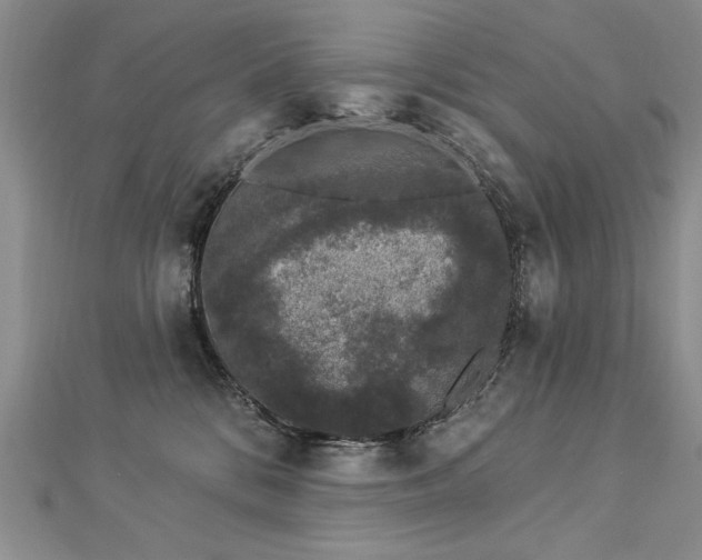 X0000112780328200908201534