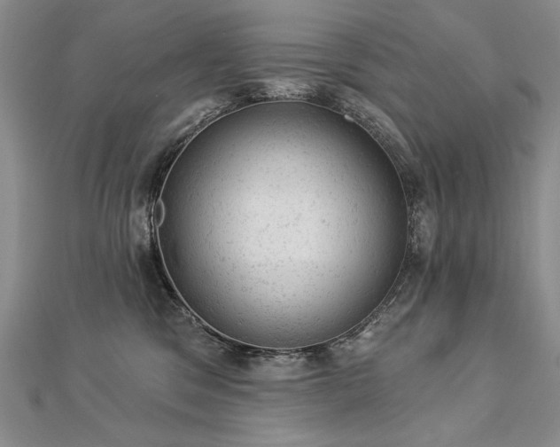 X0000112780329200908201534