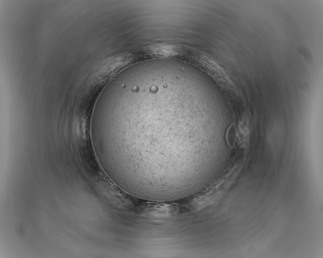 X0000112780330200908201534