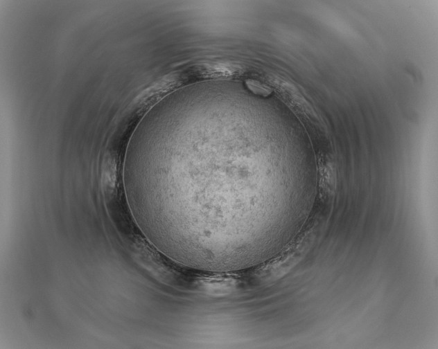 X0000112780331200908201534