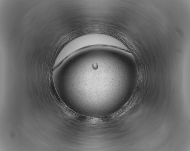 X0000112780333200908201534