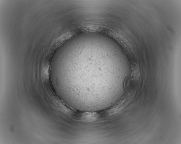 X0000112780334200908201534