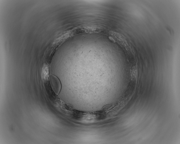 X0000112780335200908201534