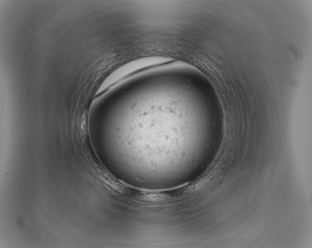 X0000112780336200908201534