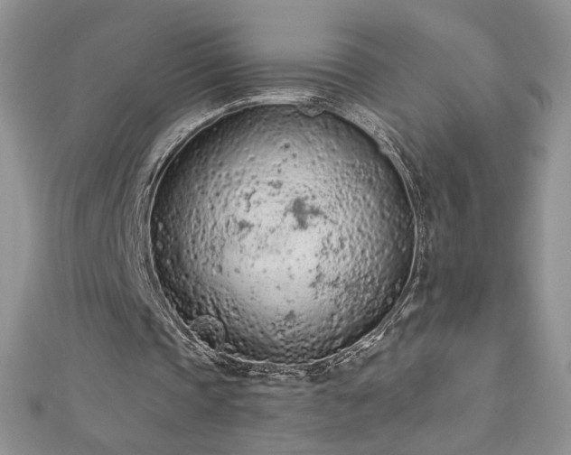 X0000112780337200908201533