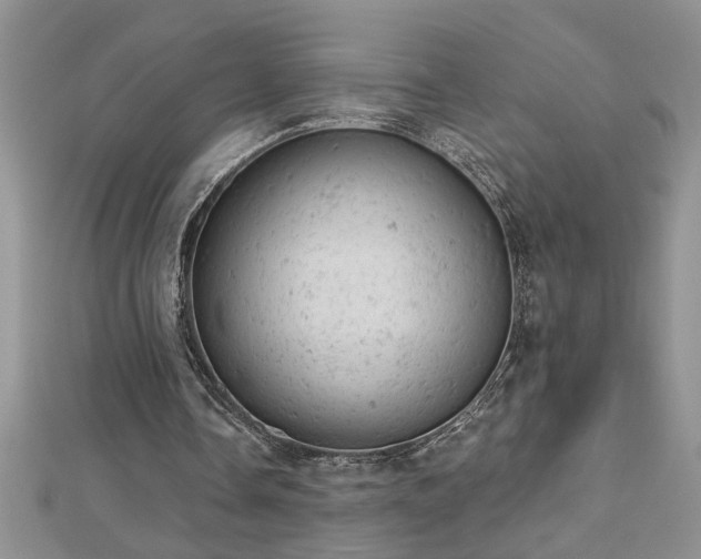 X0000112780338200908201533