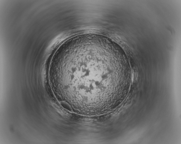 X0000112780339200908201533