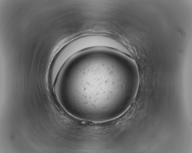 X0000112780340200908201533