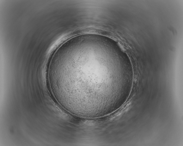 X0000112780341200908201533