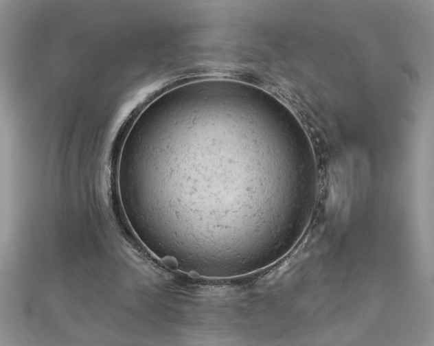 X0000112780342200908201533