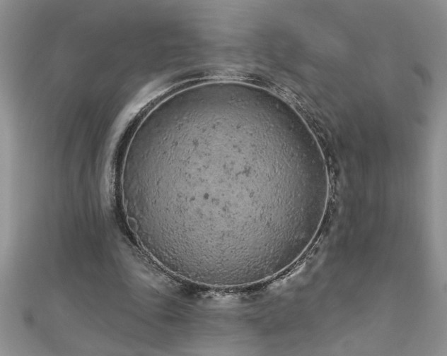 X0000112780343200908201533