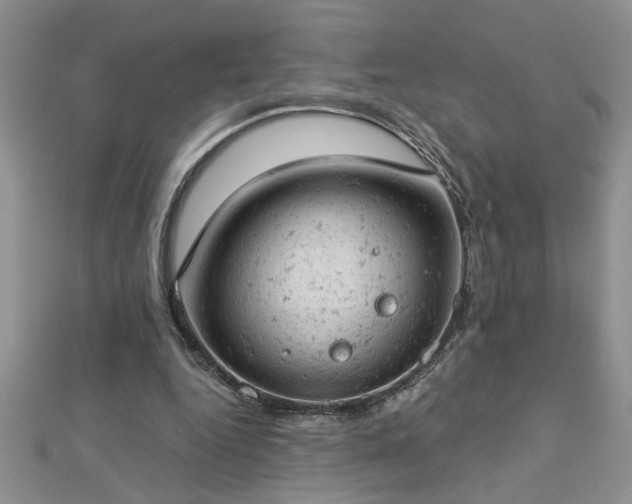 X0000112780344200908201533