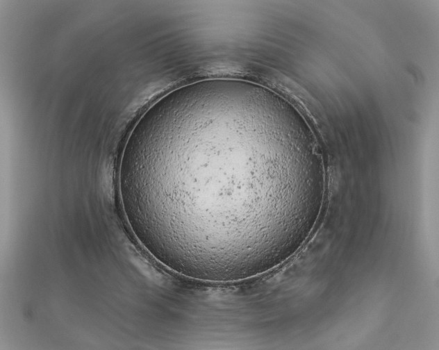 X0000112780345200908201533