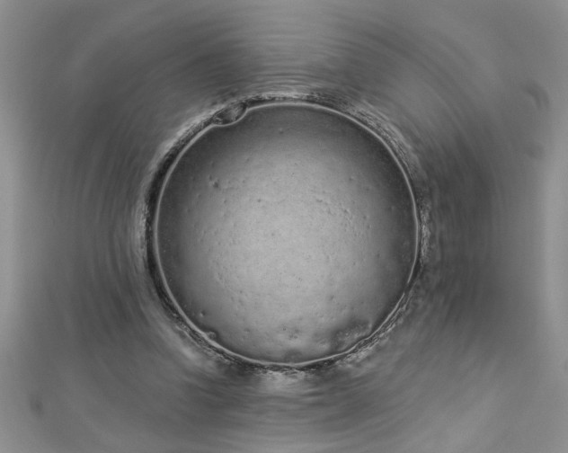 X0000112780346200908201533