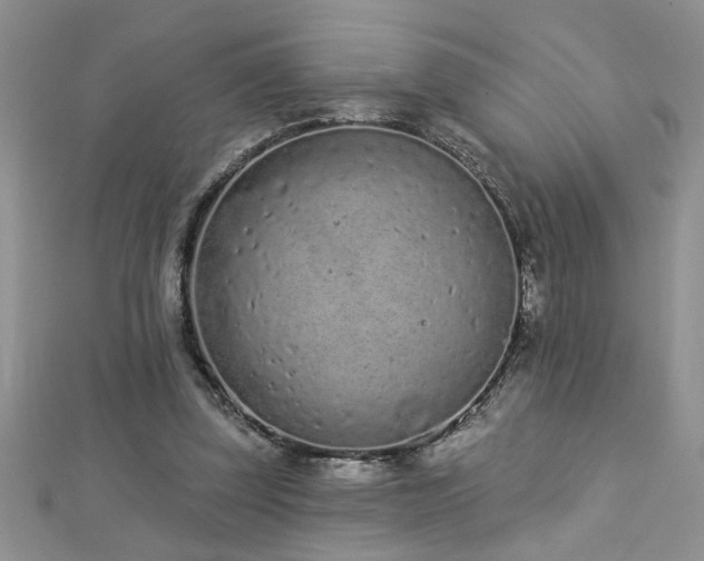 X0000112780347200908201533