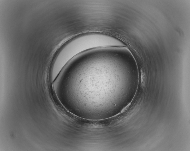 X0000112780348200908201533