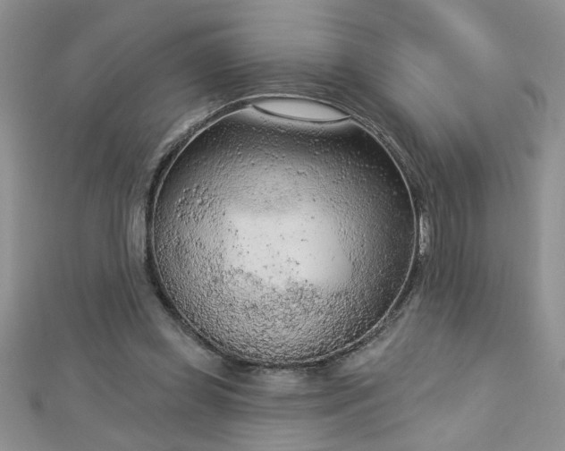 X0000112780349200908201533