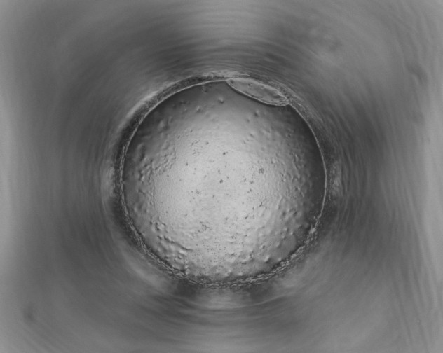 X0000112780351200908201533