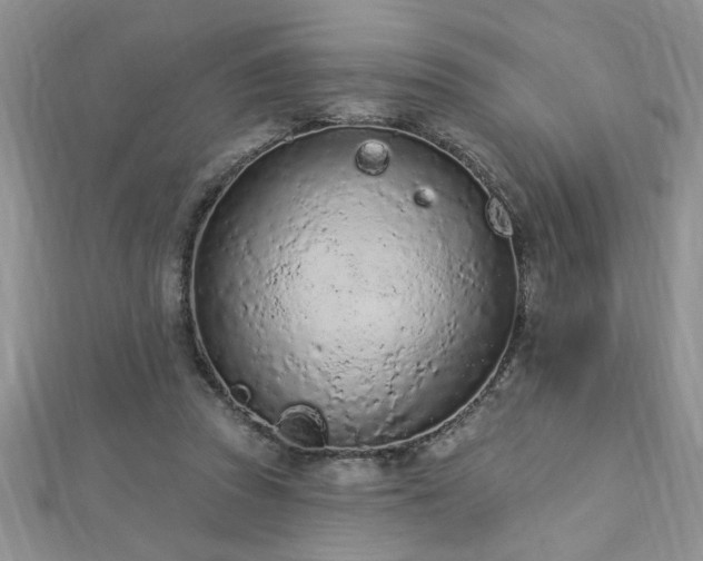 X0000112780353200908201533