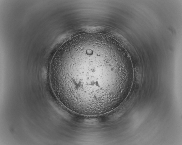 X0000112780357200908201533