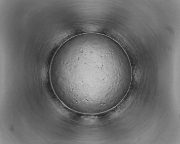 X0000112780359200908201533