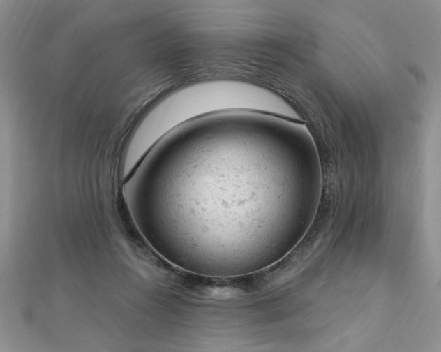 X0000112780360200908201533