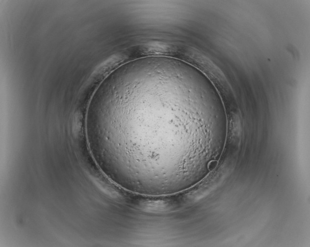 X0000112780361200908201533