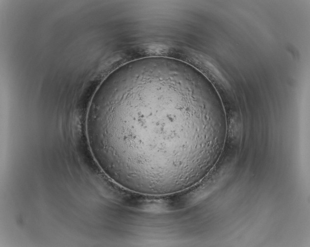 X0000112780363200908201533