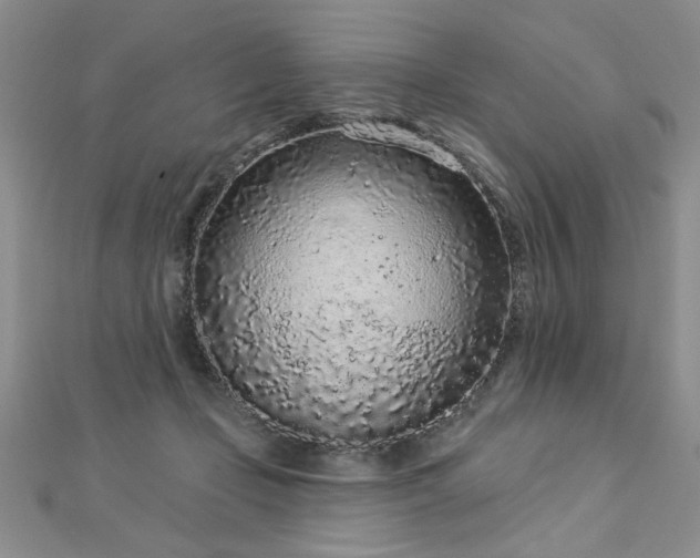 X0000112780365200908201533