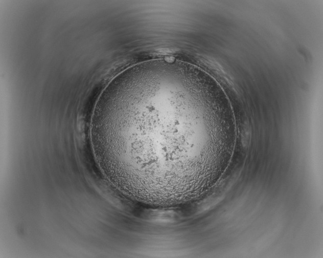 X0000112780366200908201533