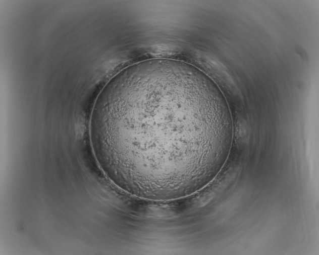 X0000112780367200908201533