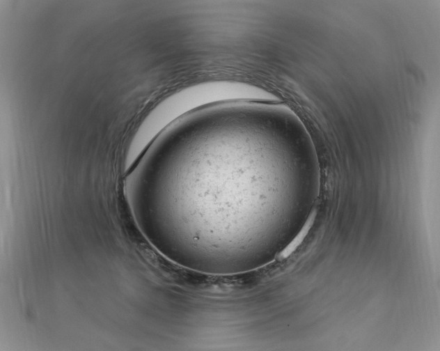 X0000112780368200908201534