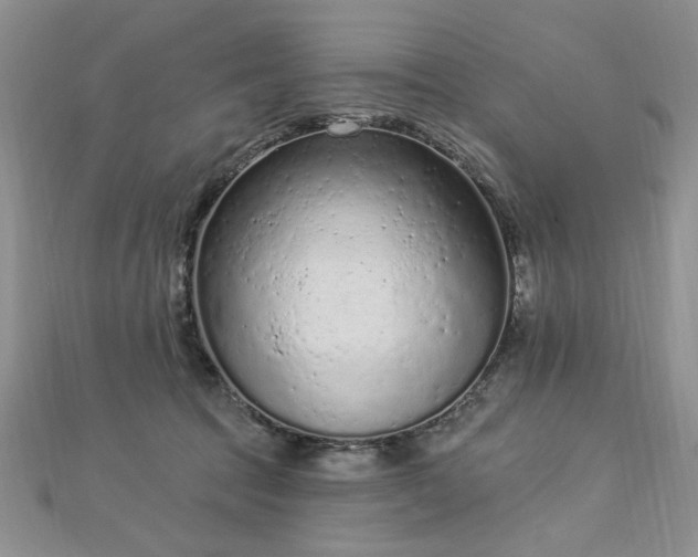 X0000112780369200908201534